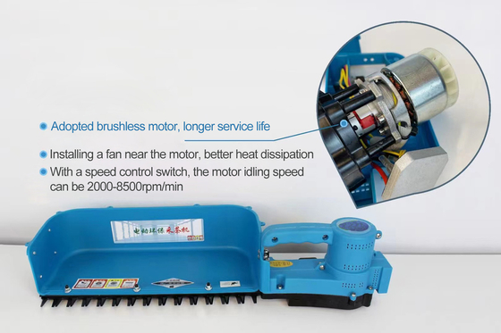 เครื่องเก็บชาแบบใช้แบตเตอรี่ขนาดเล็ก 24v 10Ah เครื่องเก็บเกี่ยวชาสำหรับ Outdoor