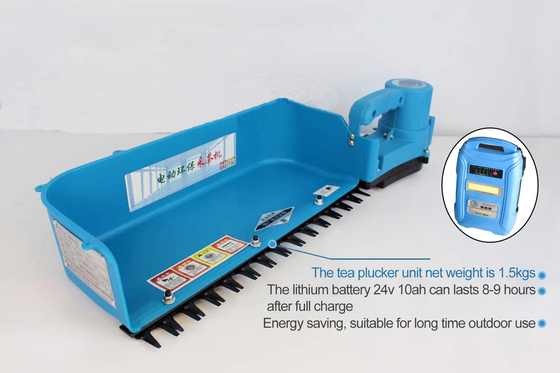 เครื่องเก็บชาแบบใช้แบตเตอรี่ขนาดเล็ก 24v 10Ah เครื่องเก็บเกี่ยวชาสำหรับ Outdoor